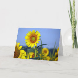 Tarjeta Interior en blanco para la personalización