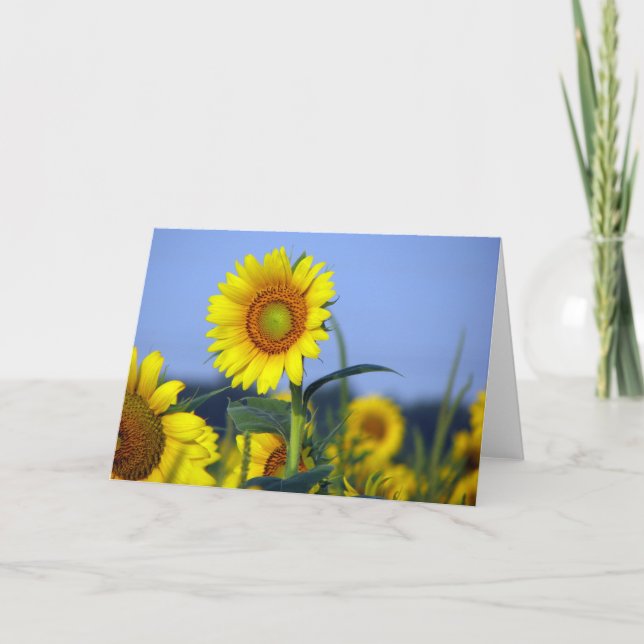 Tarjeta Interior en blanco para la personalización (Anverso)