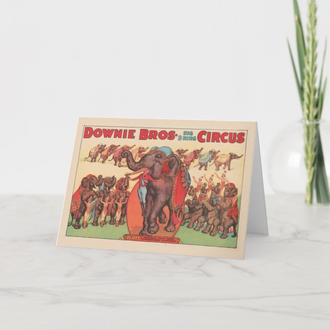 Tarjeta Interpretando Elefantes Con Mujeres Y Entrenadores (Anverso)