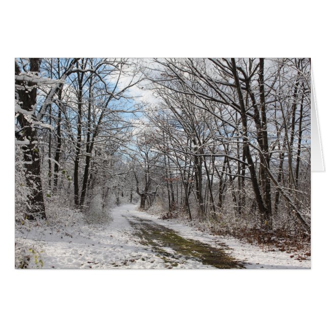 Tarjeta invernal de wonderland (Anverso (Horizontal))