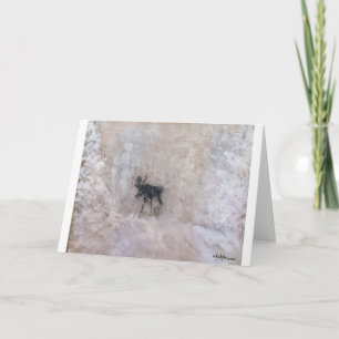 TARJETA INVIERNO CANADIENSE, ALBERTA SEPTENTRIONAL, ALCES
