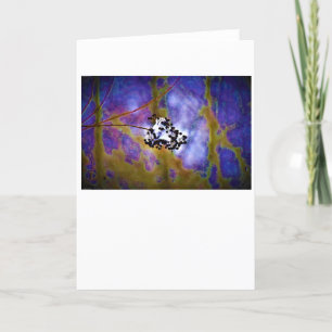 Tarjeta Invierno, carta