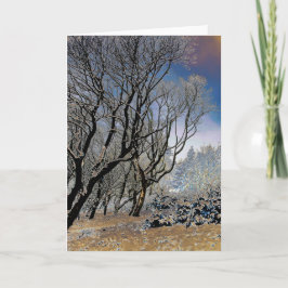 Tarjeta Invierno de los bosques de Macclesfield