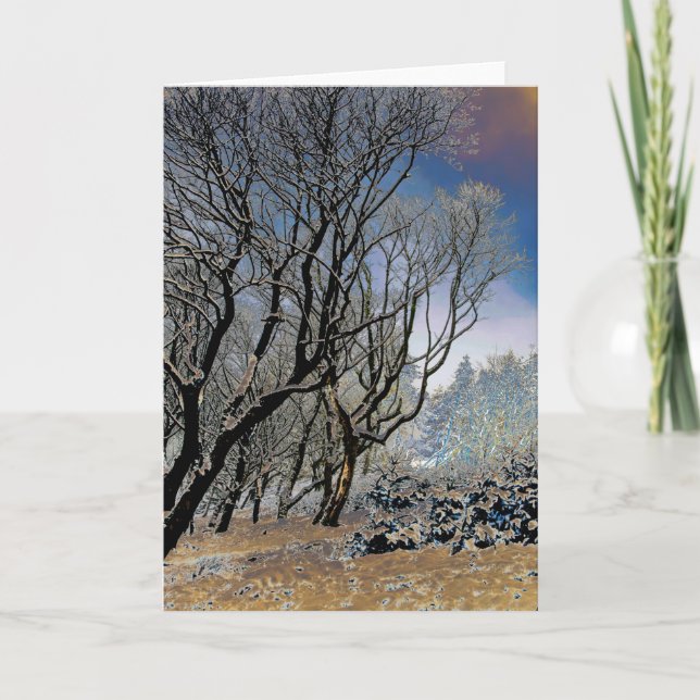 Tarjeta Invierno de los bosques de Macclesfield (Anverso)