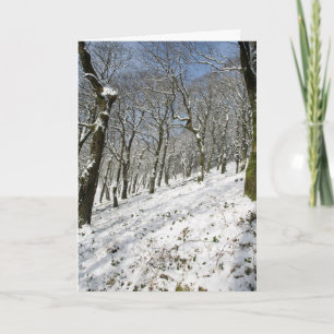 Tarjeta Invierno de los bosques de Macclesfield