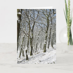 Tarjeta Invierno de los bosques de Macclesfield
