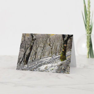 Tarjeta Invierno de los bosques de Macclesfield