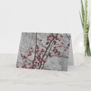 Tarjeta Invierno de NYC