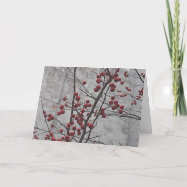 Tarjeta Invierno de NYC (Anverso)