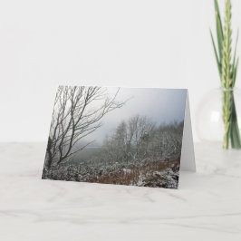 Tarjeta Invierno en el bosque de Macclesfield