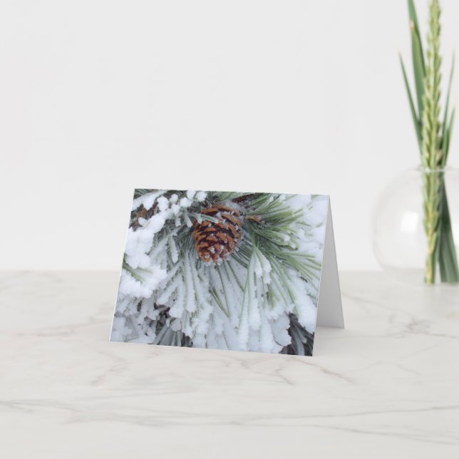 Tarjeta Invierno Pinecone (Anverso)