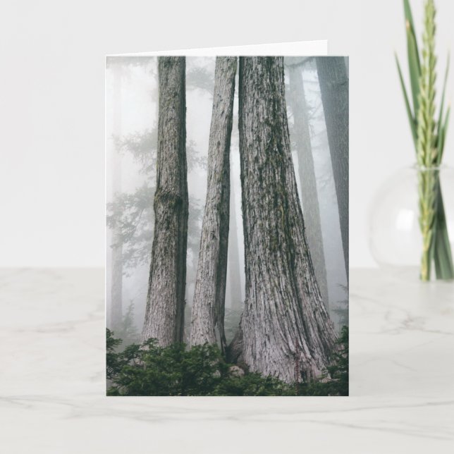 Tarjeta Invocar el bosque (Anverso)