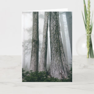 Tarjeta Invocar el bosque