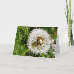 Tarjeta Ir a la semilla