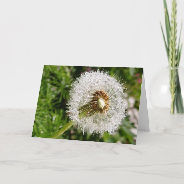 Tarjeta Ir a la semilla (Anverso)