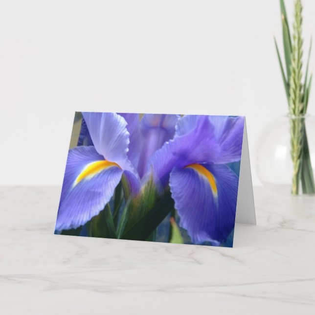 Tarjeta Iris (Anverso)