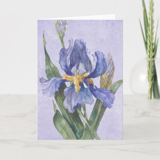 Tarjeta Iris (Anverso)