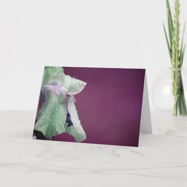 Tarjeta Iris (Anverso)