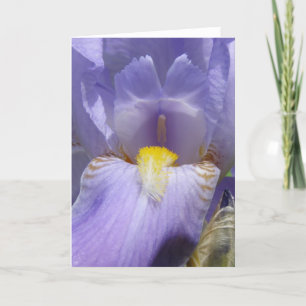 Tarjeta Iris