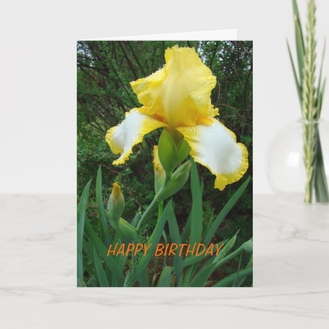 Tarjeta Iris amarillo, cumpleaños (Anverso)