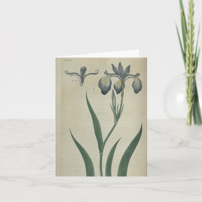 Tarjeta Iris azul (Anverso)