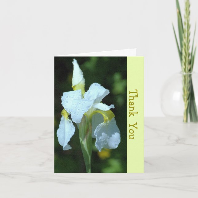 TARJETA IRIS BLANCA ÚNICA CON LLUVIAS (Anverso)