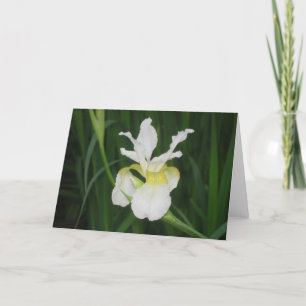 Tarjeta Iris blanco