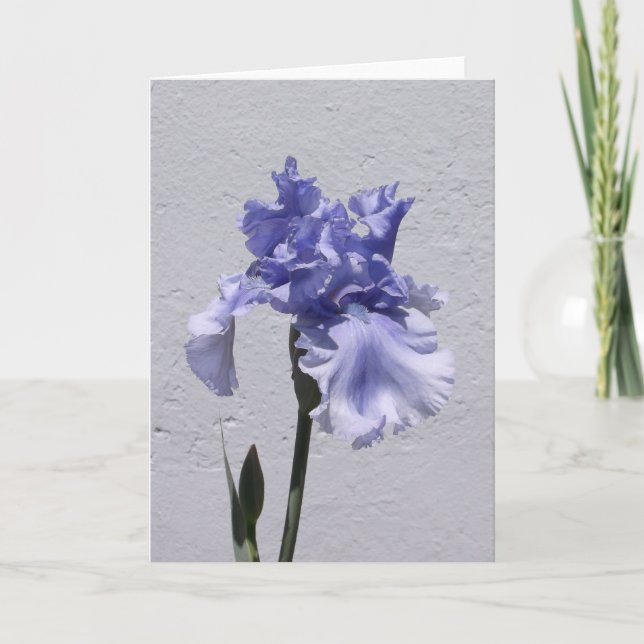 Tarjeta Iris Bloom (Anverso)