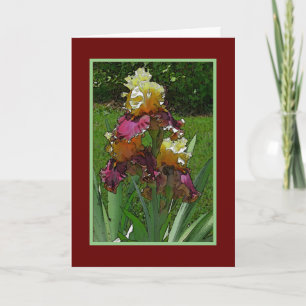 TARJETA "IRIS" BORGOÑA, AMARILLO PÁLIDO Y VERDE/FELIZ CUMP