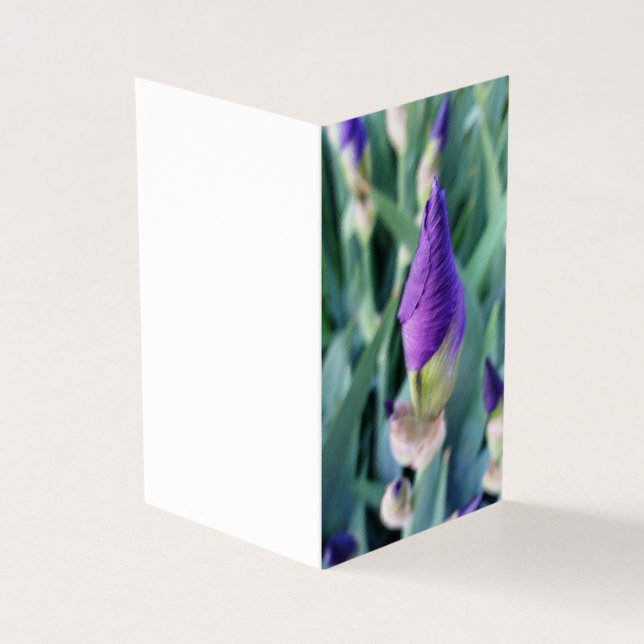 Tarjeta iris bud púrpura (Exterior)