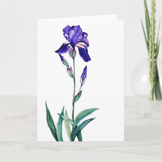 Tarjeta Iris de Jardín PMACarlson (Anverso)