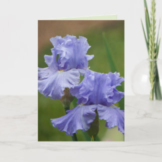 Tarjeta Iris Delight