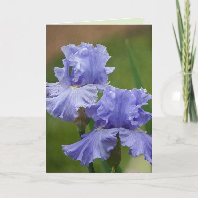 Tarjeta Iris Delight (Anverso)