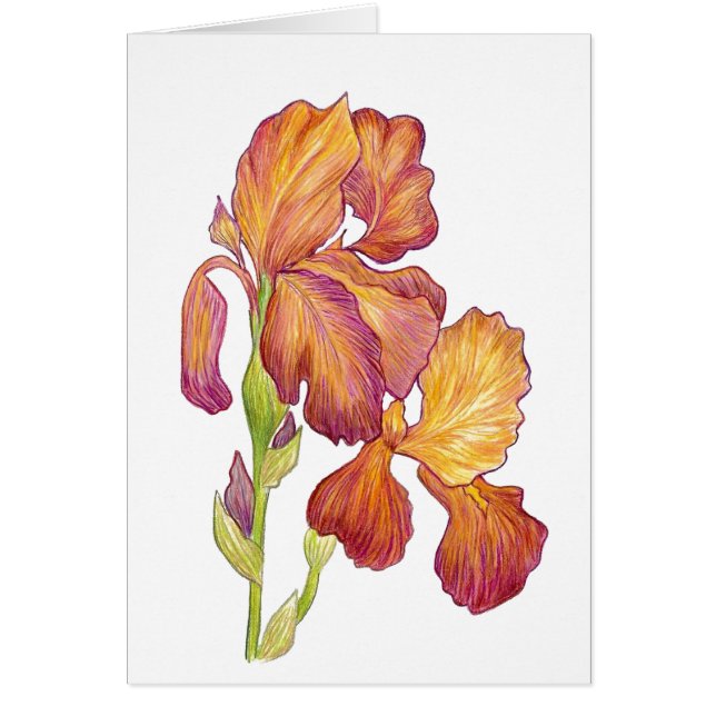 Tarjeta Iris en blanco (Frente)