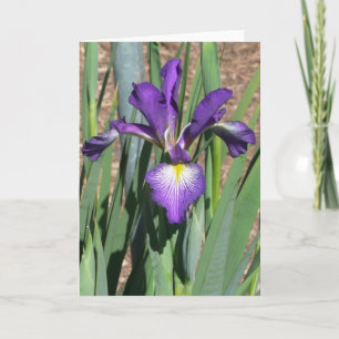 Tarjeta Iris en blanco -"BAILE DE LÍNEA"