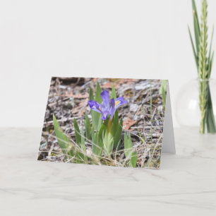 Tarjeta Iris enano en peligro Notecard del lago