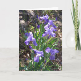 Tarjeta Iris Fower Garden Greeting Card