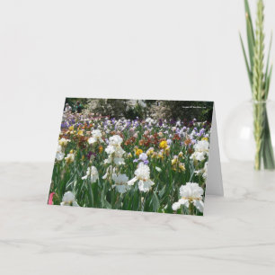 Tarjeta Iris Garden- ¡Feliz cumpleaños!