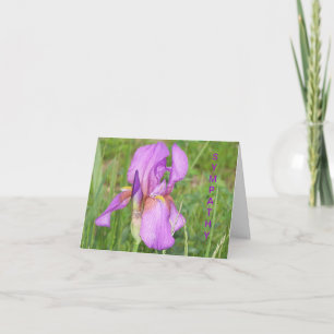 Tarjeta Iris hermoso grande, condolencia