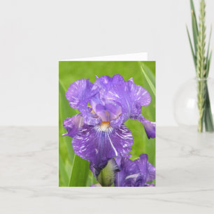 Tarjeta Iris morado