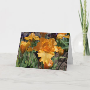 Tarjeta Iris personalizados personalizado del naranja de