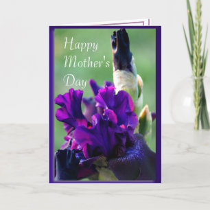 Tarjeta Iris púrpura 2914xc- personalizar en cualquier oca