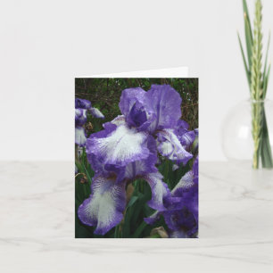 Tarjeta Iris púrpura y blanco, cumpleaños especial