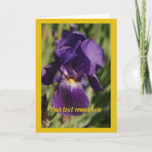 Tarjeta iris violeta -