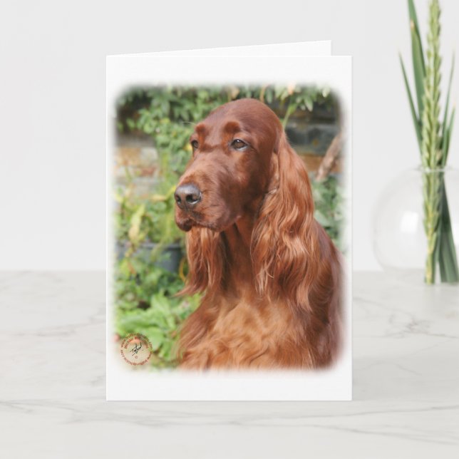 Tarjeta Irish Setter 9Y209D-090 (Anverso)