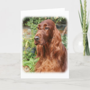 Tarjeta Irish Setter 9Y209D-090