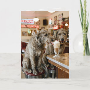 Tarjeta Irish Wolfhounds de cumpleaños disfrutando de un b