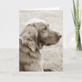 Tarjeta Irlandés Setter