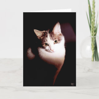 Tarjeta Irresistible