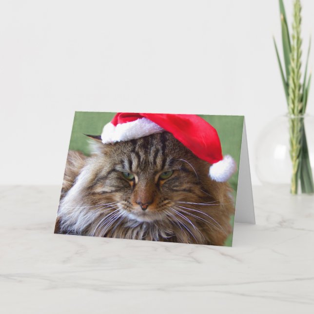 Tarjeta irritable del gato del navidad (Anverso)
